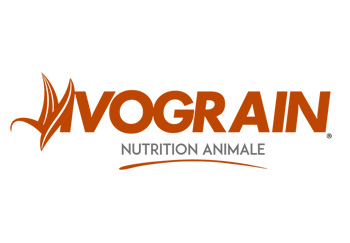 IVOGRAIN